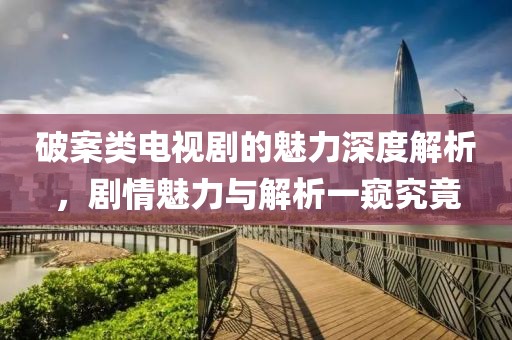 破案类电视剧的魅力深度解析，剧情魅力与解析一窥究竟