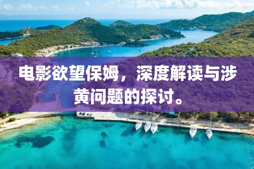 电影欲望保姆，深度解读与涉黄问题的探讨。