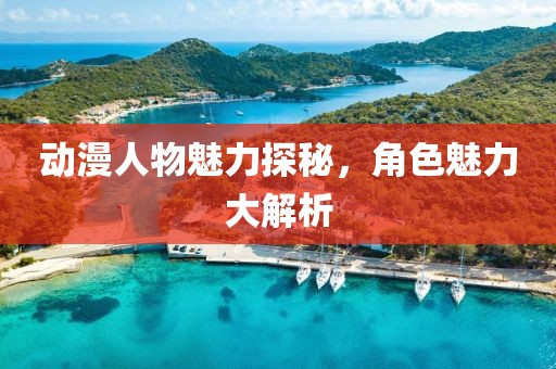 动漫人物魅力探秘，角色魅力大解析