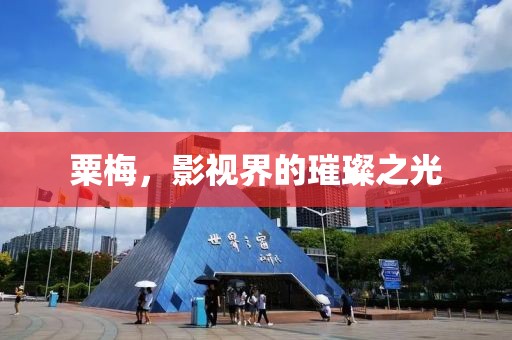 粟梅，影视界的璀璨之光