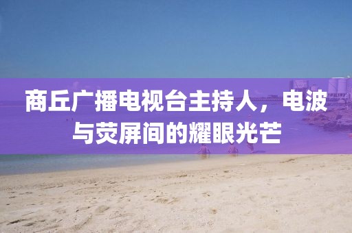 商丘广播电视台主持人，电波与荧屏间的耀眼光芒
