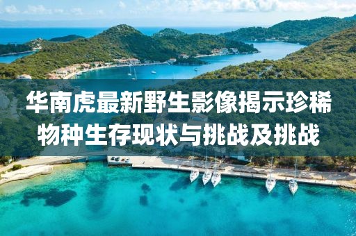 华南虎最新野生影像揭示珍稀物种生存现状与挑战及挑战