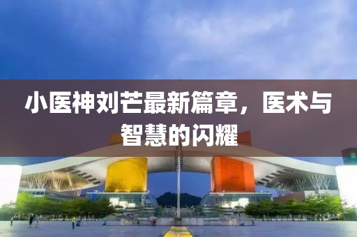 小医神刘芒最新篇章，医术与智慧的闪耀
