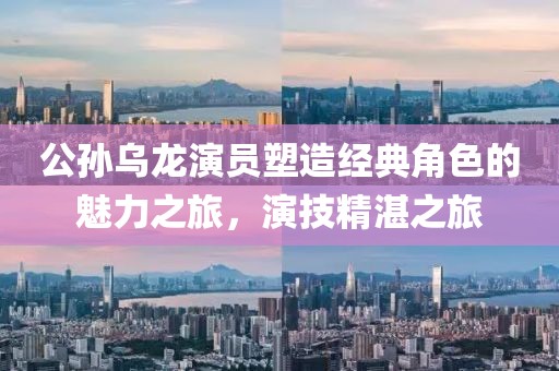 公孙乌龙演员塑造经典角色的魅力之旅，演技精湛之旅