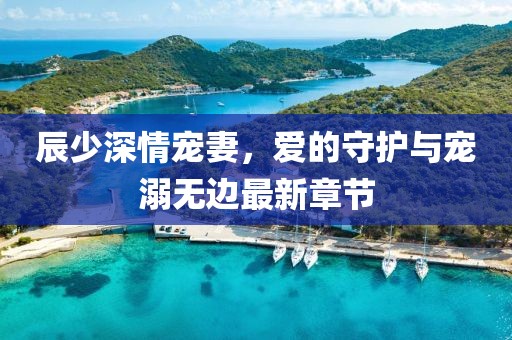 辰少深情宠妻，爱的守护与宠溺无边最新章节