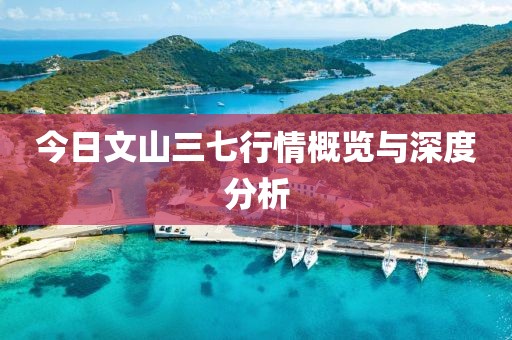 今日文山三七行情概览与深度分析