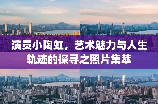 演员小陶虹，艺术魅力与人生轨迹的探寻之照片集萃