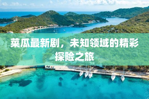 菜瓜最新剧，未知领域的精彩探险之旅