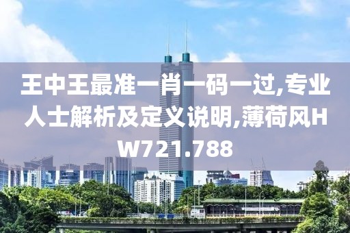 王中王最准一肖一码一过,专业人士解析及定义说明,薄荷风HW721.788
