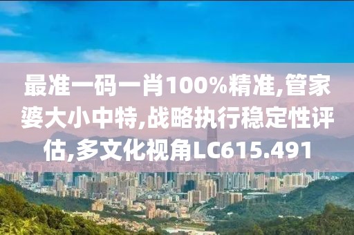 最准一码一肖100%精准,管家婆大小中特,战略执行稳定性评估,多文化视角LC615.491