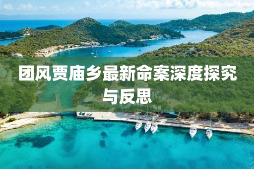 团风贾庙乡最新命案深度探究与反思