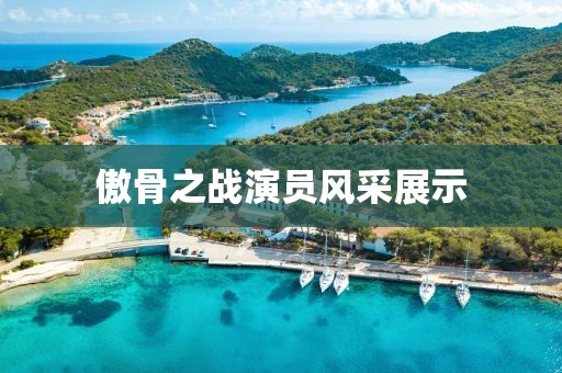 傲骨之战演员风采展示