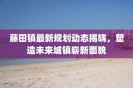 藤田镇最新规划动态揭晓，塑造未来城镇崭新面貌