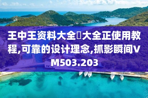 王中王资料大全枓大全正使用教程,可靠的设计理念,抓影瞬间VM503.203
