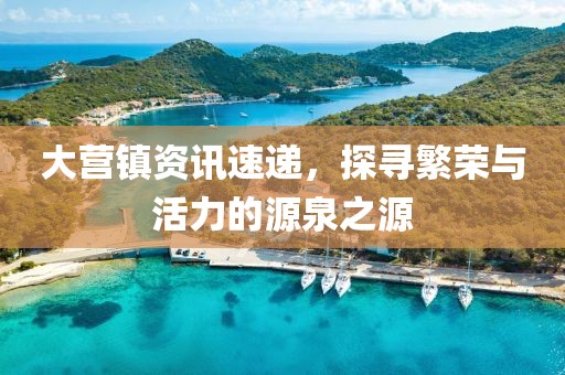 大营镇资讯速递，探寻繁荣与活力的源泉之源