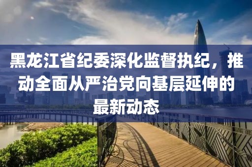 黑龙江省纪委深化监督执纪，推动全面从严治党向基层延伸的最新动态