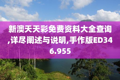 新澳天天彩免费资料大全查询,详尽阐述与说明,手作版ED346.955