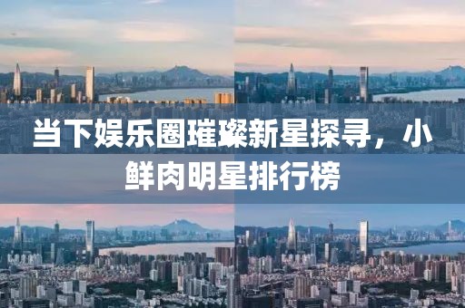 当下娱乐圈璀璨新星探寻，小鲜肉明星排行榜