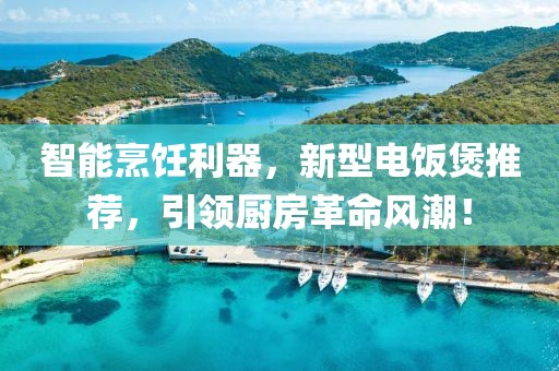 智能烹饪利器，新型电饭煲推荐，引领厨房革命风潮！