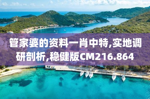 管家婆的资料一肖中特,实地调研剖析,稳健版CM216.864