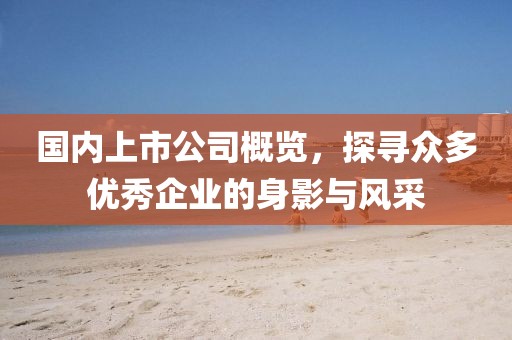 国内上市公司概览，探寻众多优秀企业的身影与风采