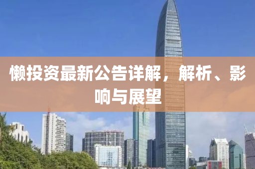 懒投资最新公告详解，解析、影响与展望
