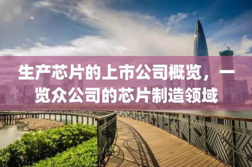 生产芯片的上市公司概览，一览众公司的芯片制造领域