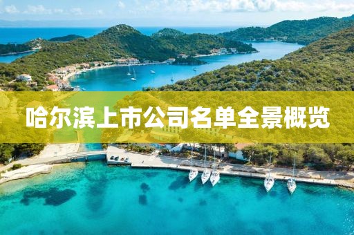 哈尔滨上市公司名单全景概览