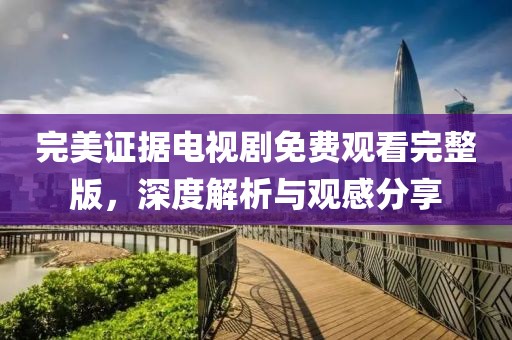 完美证据电视剧免费观看完整版，深度解析与观感分享
