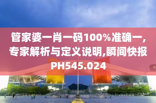 管家婆一肖一码100%准确一,专家解析与定义说明,瞬间快报PH545.024