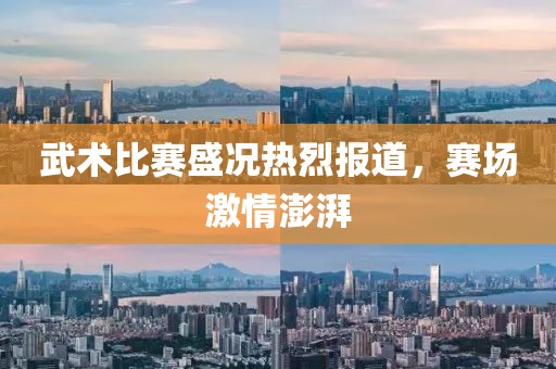 武术比赛盛况热烈报道，赛场激情澎湃