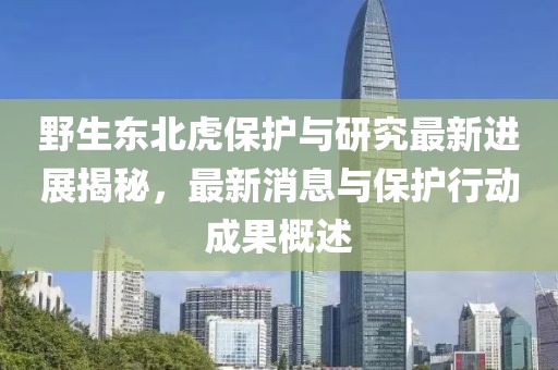 山高路迢迢 第16页