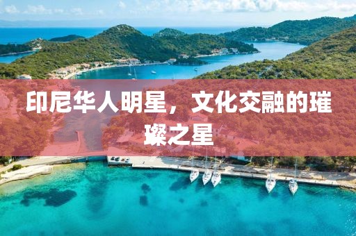 印尼华人明星，文化交融的璀璨之星