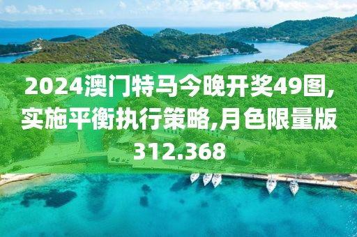 2024澳门特马今晚开奖49图,实施平衡执行策略,月色限量版312.368