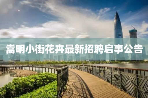 小叮当 第17页