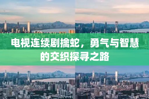 电视连续剧擒蛇，勇气与智慧的交织探寻之路