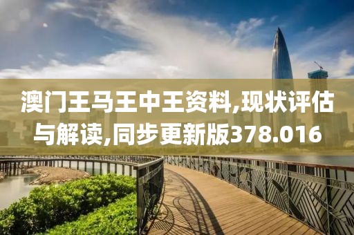 澳门王马王中王资料,现状评估与解读,同步更新版378.016
