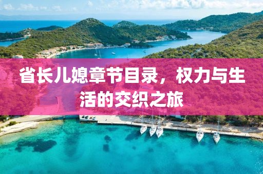 省长儿媳章节目录，权力与生活的交织之旅