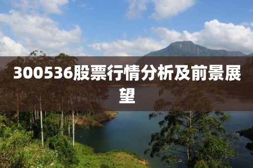 300536股票行情分析及前景展望
