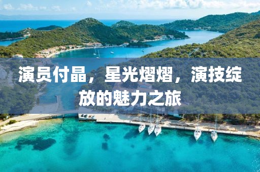 演员付晶，星光熠熠，演技绽放的魅力之旅
