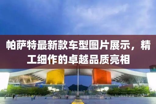 帕萨特最新款车型图片展示，精工细作的卓越品质亮相