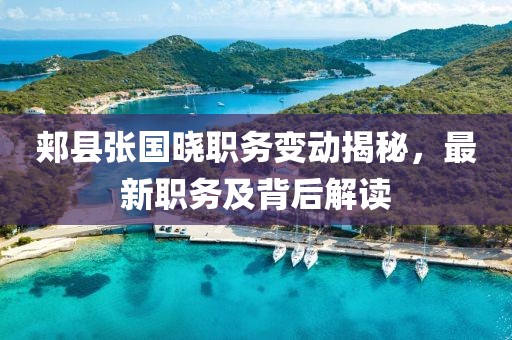 郏县张国晓职务变动揭秘，最新职务及背后解读