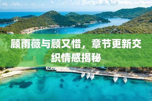 顾雨薇与顾又惜，章节更新交织情感揭秘