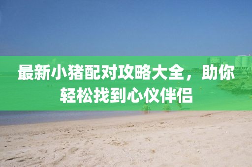 最新小猪配对攻略大全，助你轻松找到心仪伴侣