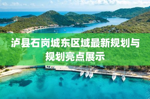 泸县石岗城东区域最新规划与规划亮点展示