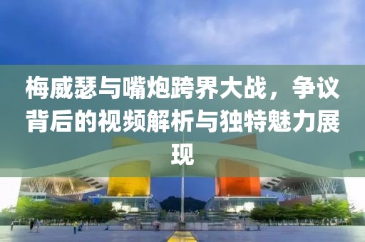 梅威瑟与嘴炮跨界大战，争议背后的视频解析与独特魅力展现