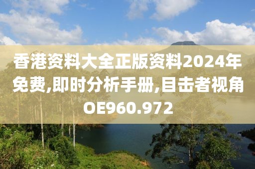 香港资料大全正版资料2024年免费,即时分析手册,目击者视角OE960.972