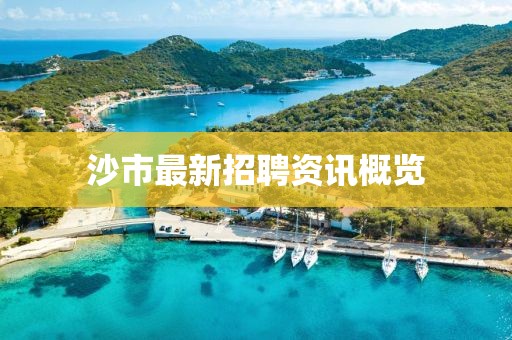 沙市最新招聘资讯概览
