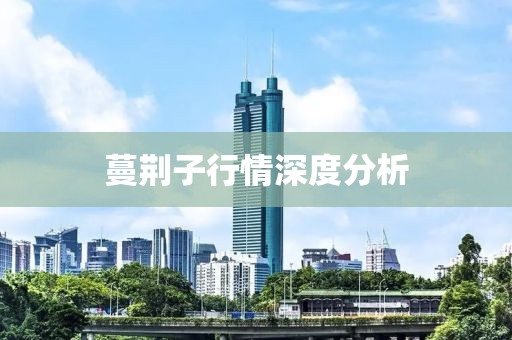 蔓荆子行情深度分析