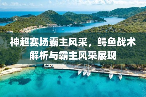 神超赛场霸主风采，鳄鱼战术解析与霸主风采展现